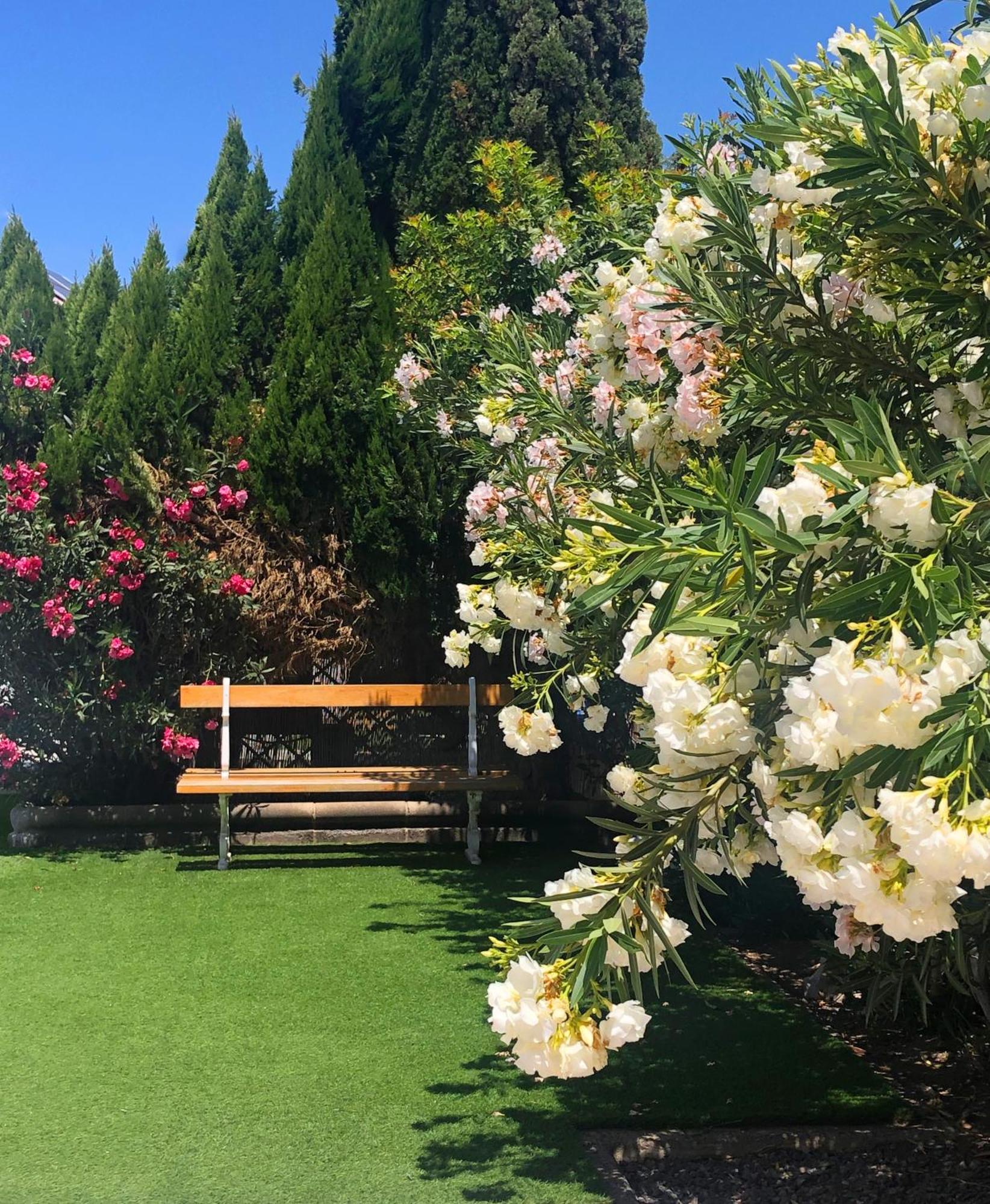 Bungalows Las Almenas Maspalomas  Kültér fotó